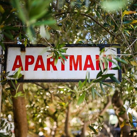 Apartmani Milka Zadar Ngoại thất bức ảnh